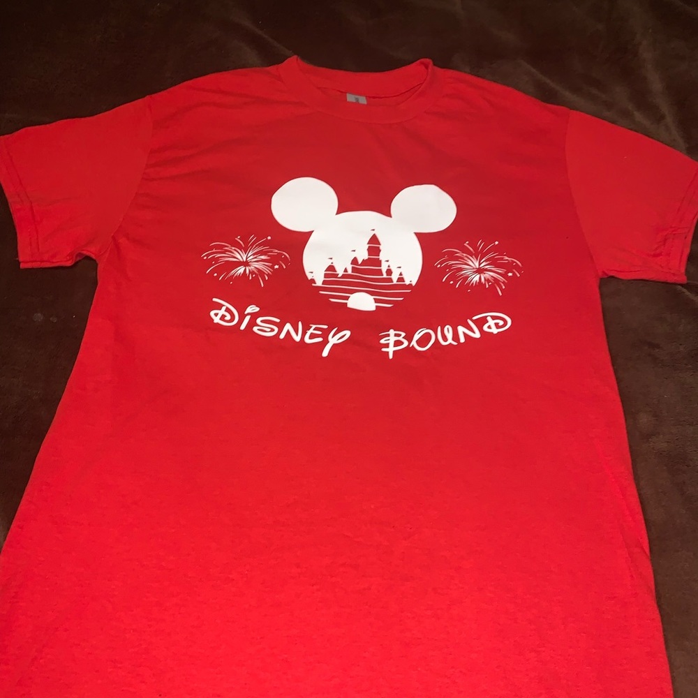 Family Vacation Graphic Tee, Birthday T-Shirt For Kids, DisneyWorld Children Tee